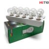 Bóng Đèn Halogen Ô Tô Chân 2 Tóc Trắng – Chân Lệch Cong 12V (XENCN 12536)